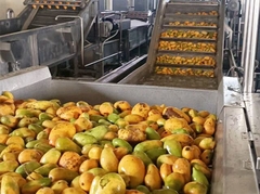 Linia do przetwarzania pulpy z mango