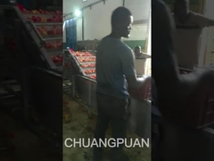 Zobaczmy, jak w Afryce działa linia produkcji pasty pomidorowej średniego typu.